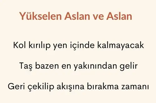 ak17 (5).webp