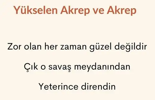 ak17 (8).webp