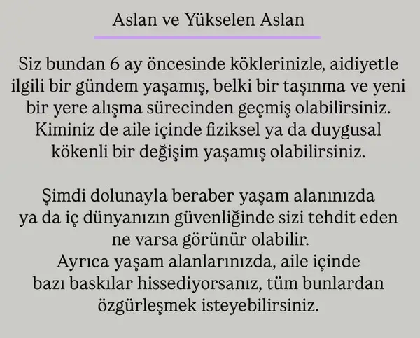 ak17 (8).webp