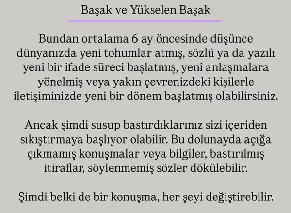 ak17 (9).webp