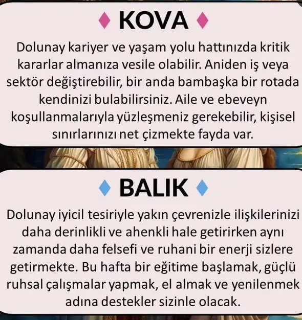 ak18 (8).webp