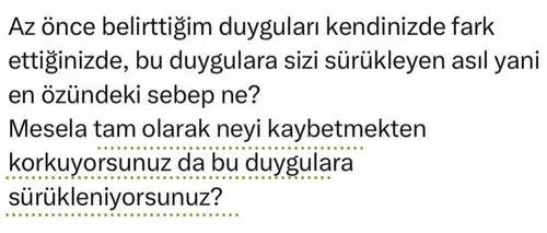 ak19 (2).webp