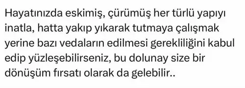 ak19 (3).webp