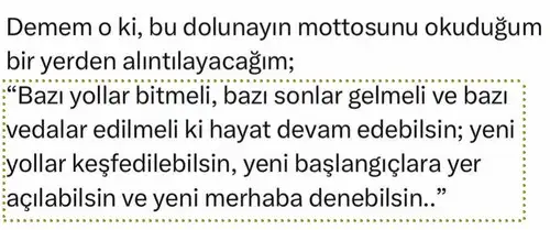 ak19 (4).webp
