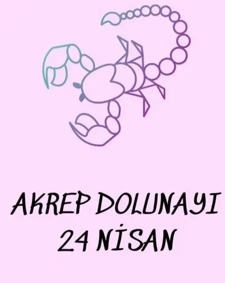 ak2 (1).webp