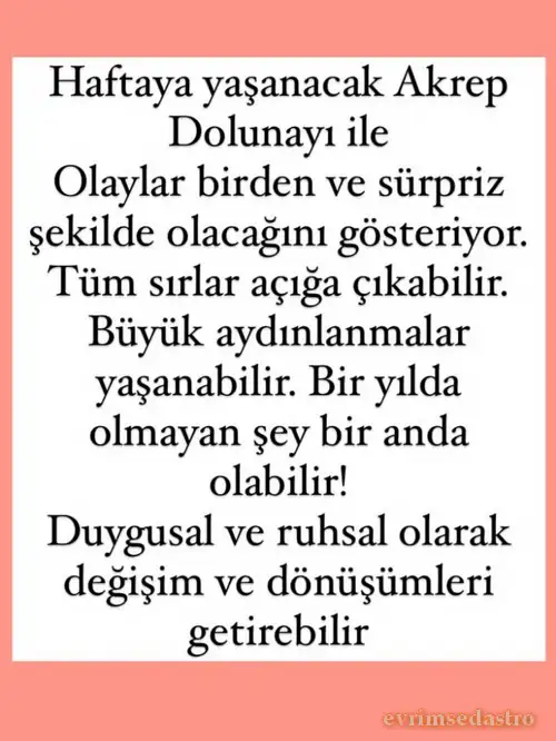 ak2.webp
