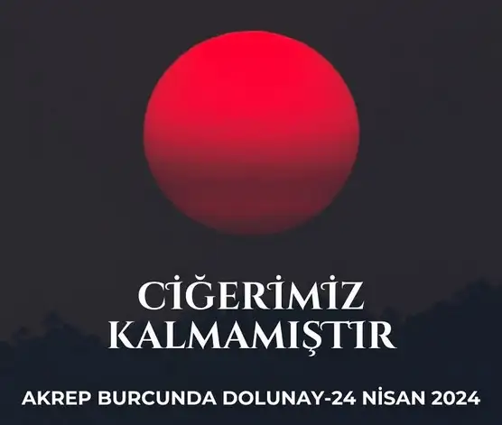 ak20 (1).webp
