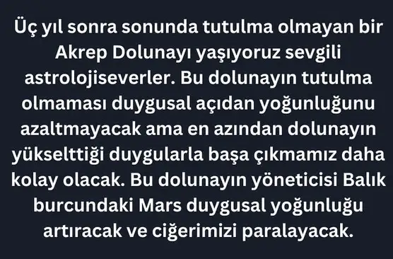 ak20 (2).webp