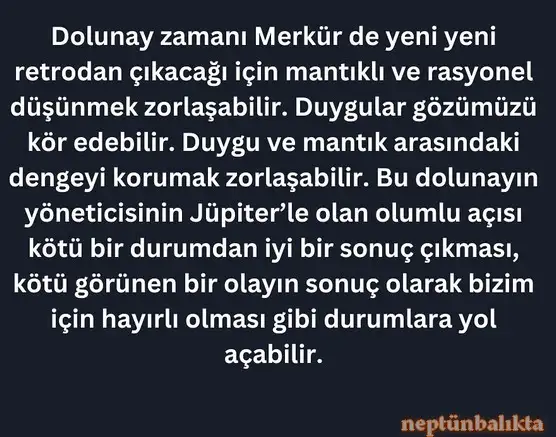 ak20 (3).webp