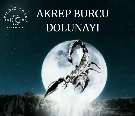 ak21 (1).webp