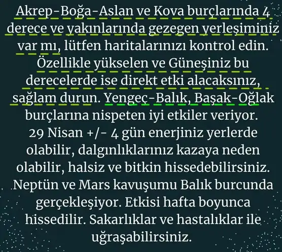 ak21 (3).webp