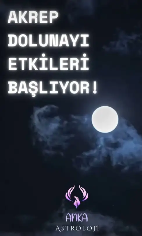 ak23 (1).webp