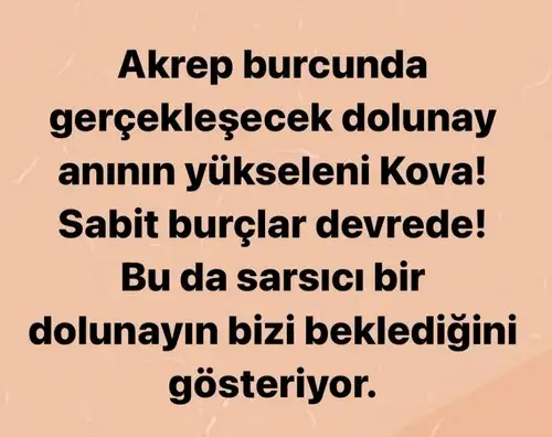 ak24 (1).webp