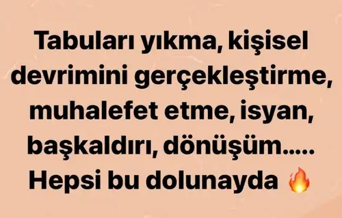 ak24 (2).webp