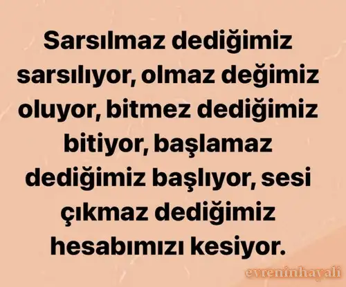 ak24 (3).webp