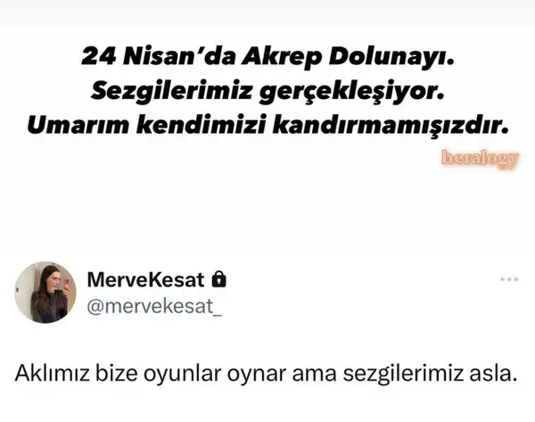 ak25.webp