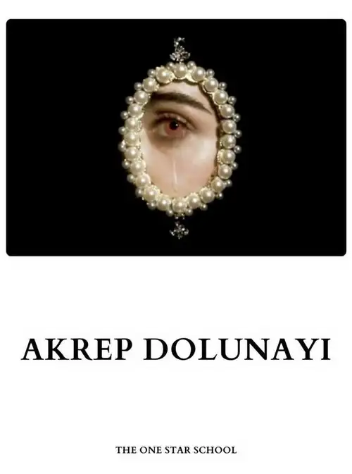 ak26 (1).webp