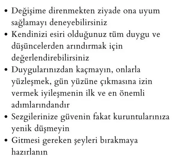 ak26 (3).webp