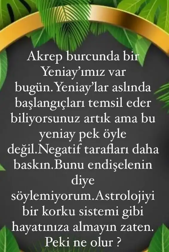 ak3 (1).webp