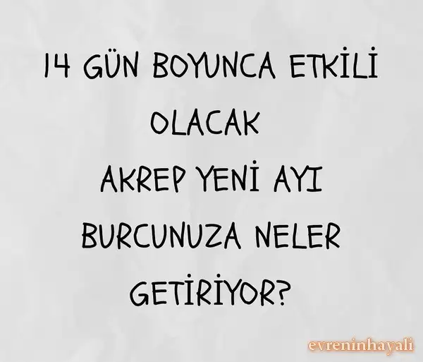 ak3 (1).webp