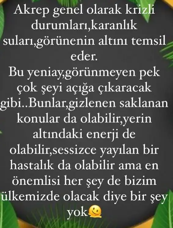 ak3 (2).webp
