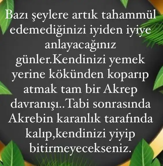 ak3 (3).webp