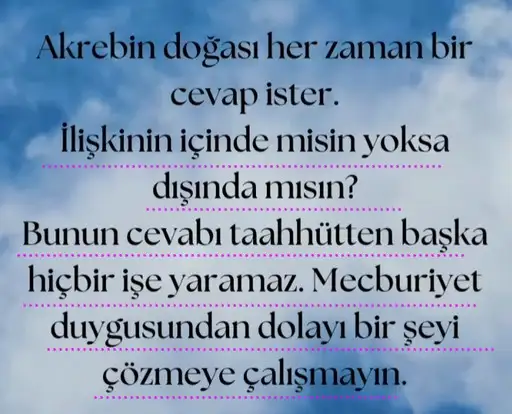 ak3 (3).webp