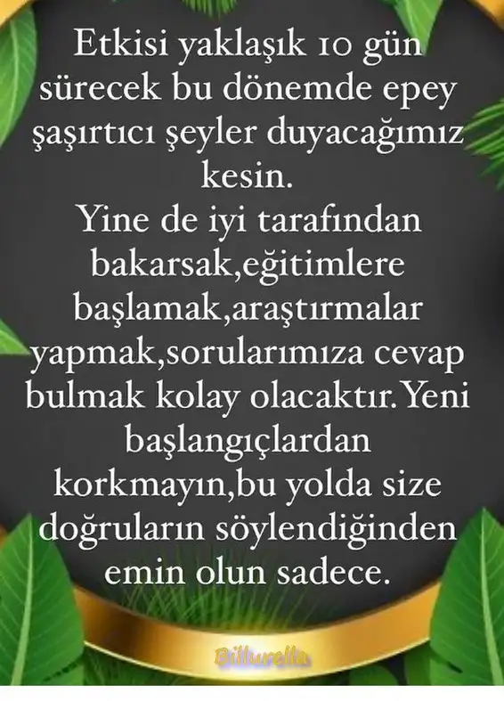 ak3 (4).webp