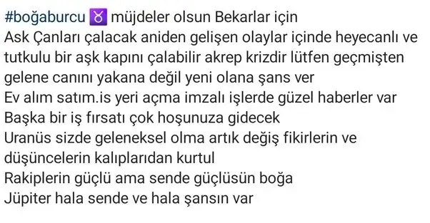 ak4 (3).webp