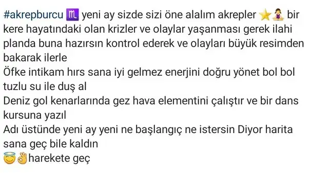 ak4 (7).webp