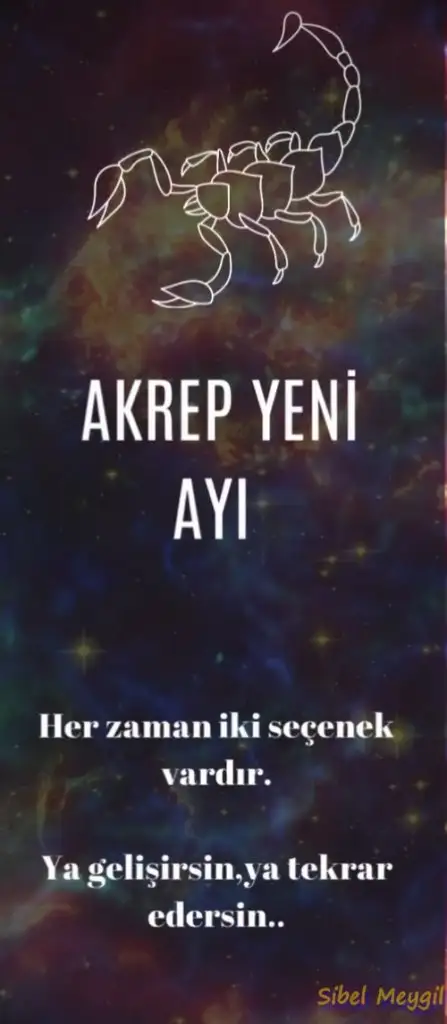 ak5 (1).webp