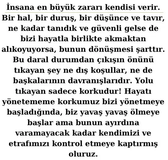 ak5 (10).webp
