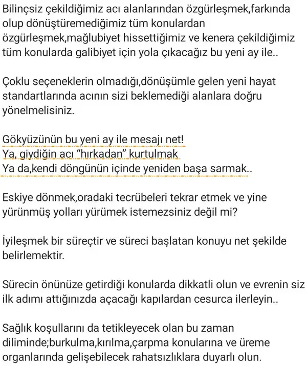 ak5 (2).webp