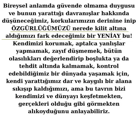 ak5 (6).webp