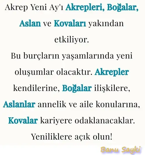 ak6 (1).webp