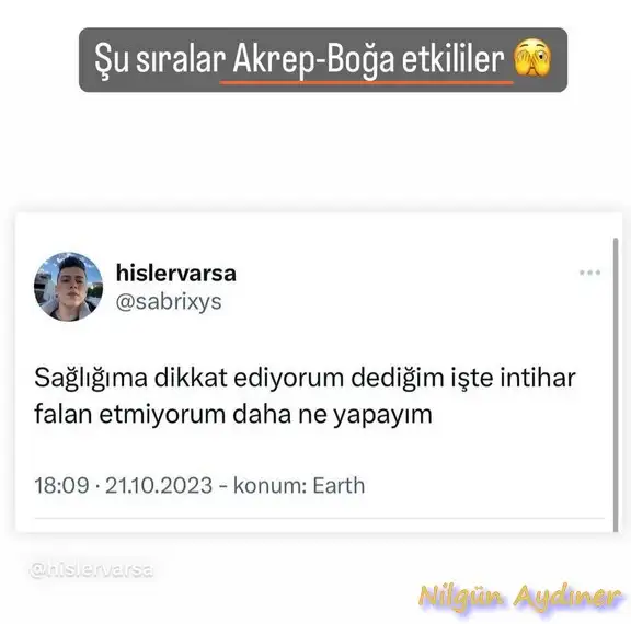ak6.webp