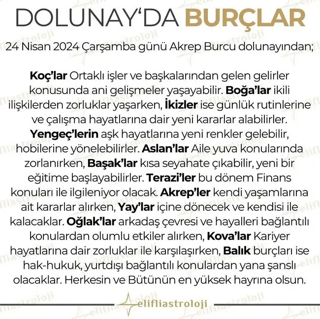 ak6.webp