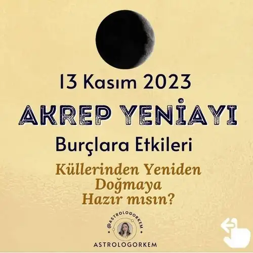 ak9 (1).webp