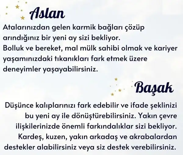 ak9 (4).webp