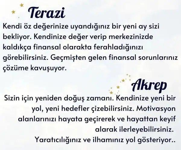 ak9 (5).webp