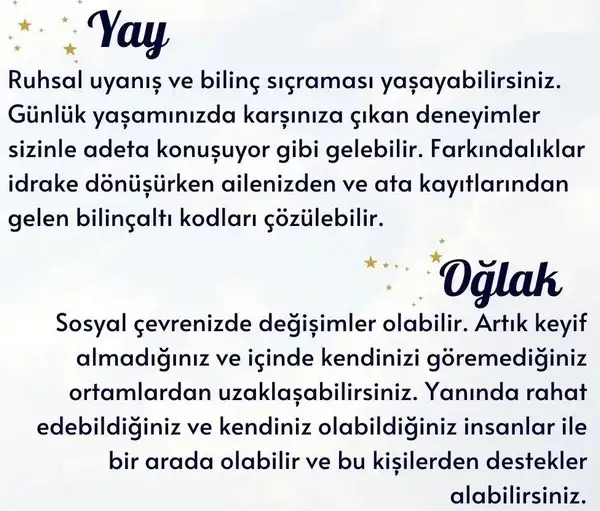 ak9 (6).webp