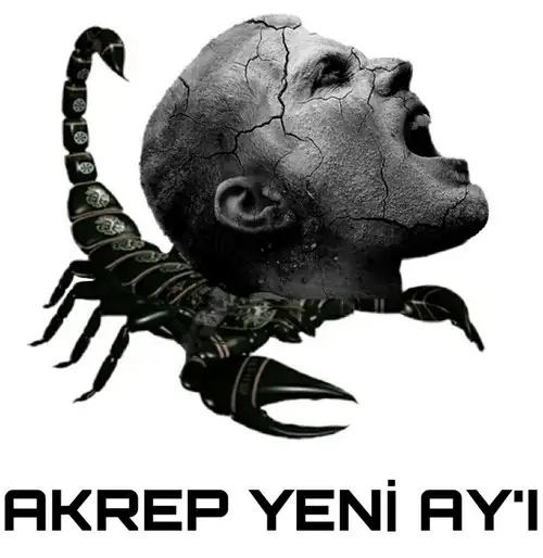 akkkr.webp