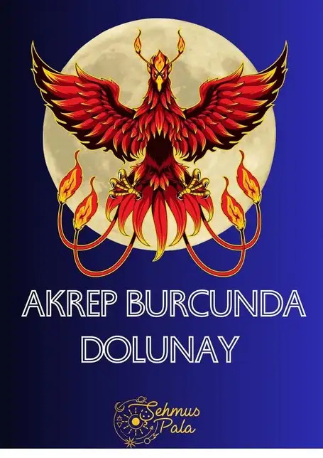 akl (1).webp