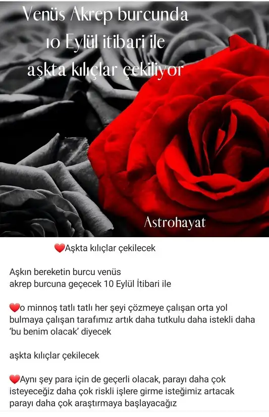 akr1 (1).webp
