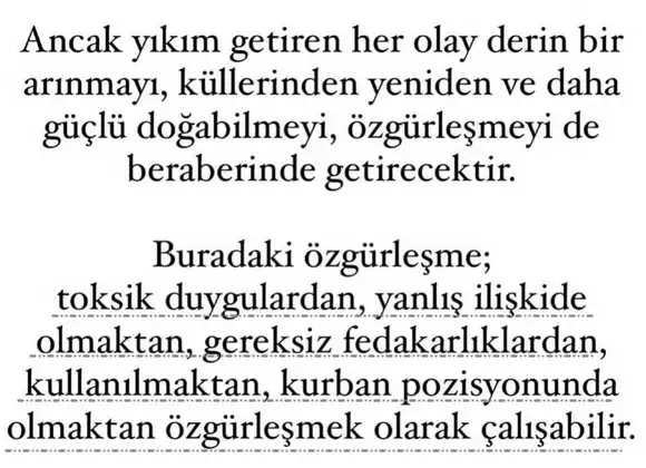 akr1 (8).webp