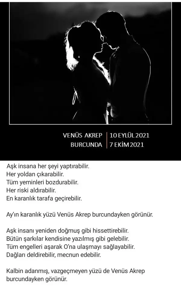 akr1 merve cub (1).webp