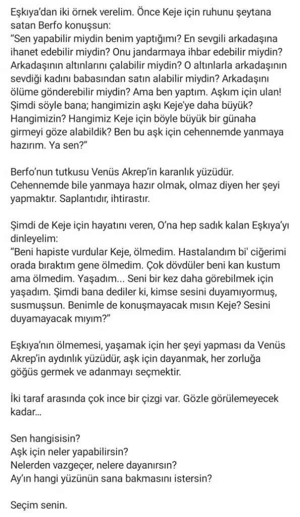 akr1 merve cub (2).webp