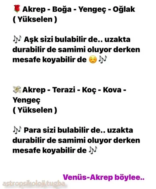 akr1.webp