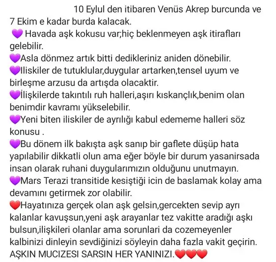 akr2 aysun ayzar (2).webp