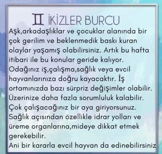 akrep 55 (3).webp